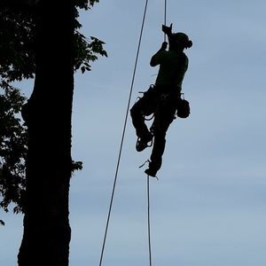 Meet your Posher, Shawn